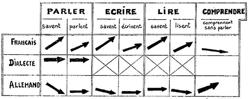 Fig. 1. Tendances de l’évolution des différents modes d’usage des trois langues en présence en Alsace 