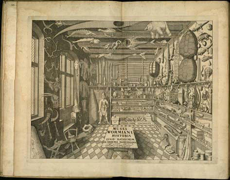 Figure 1: Frontispiece (engraving) from Ole Worm, Museum Wormianum. Seu historia rerum rariorum, Lugduni Batavorum, Ex officina Elseviriorum, Acad. typograph., Leiden, 1655
