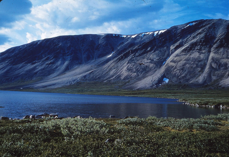 Fig. 1: Willem Frederik Hermans, “925 (37) Vaddasgaissa”, 1961