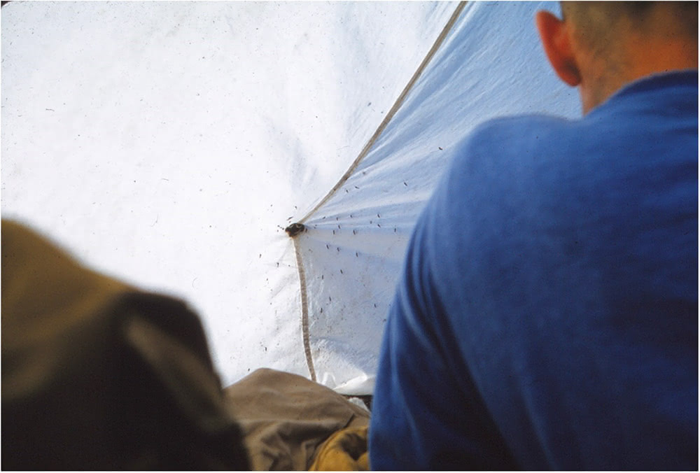 Fig. 7: Willem Frederik Hermans, “973 (9) Tent met muggen I”, 1961
