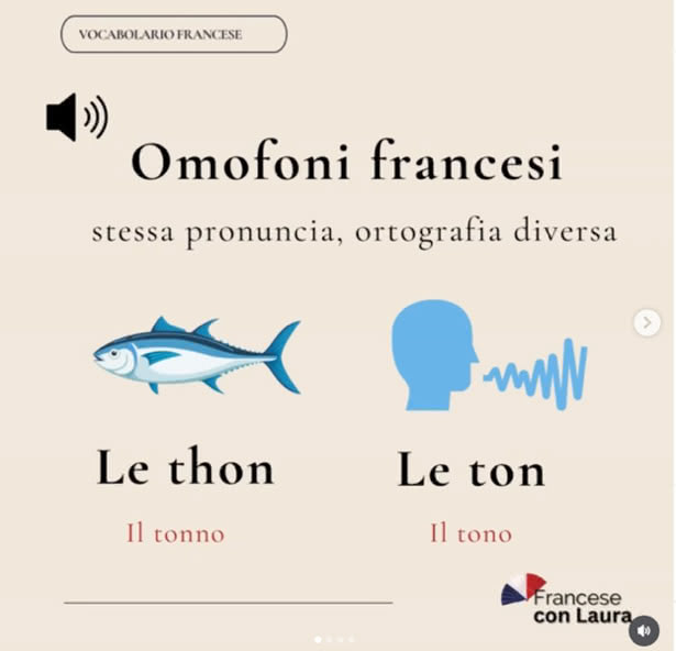 Figure 1 : Exemple de contenu du compte @francese_con_laura sur les mots homophones (vidéo publiée le 4 juin 2024)