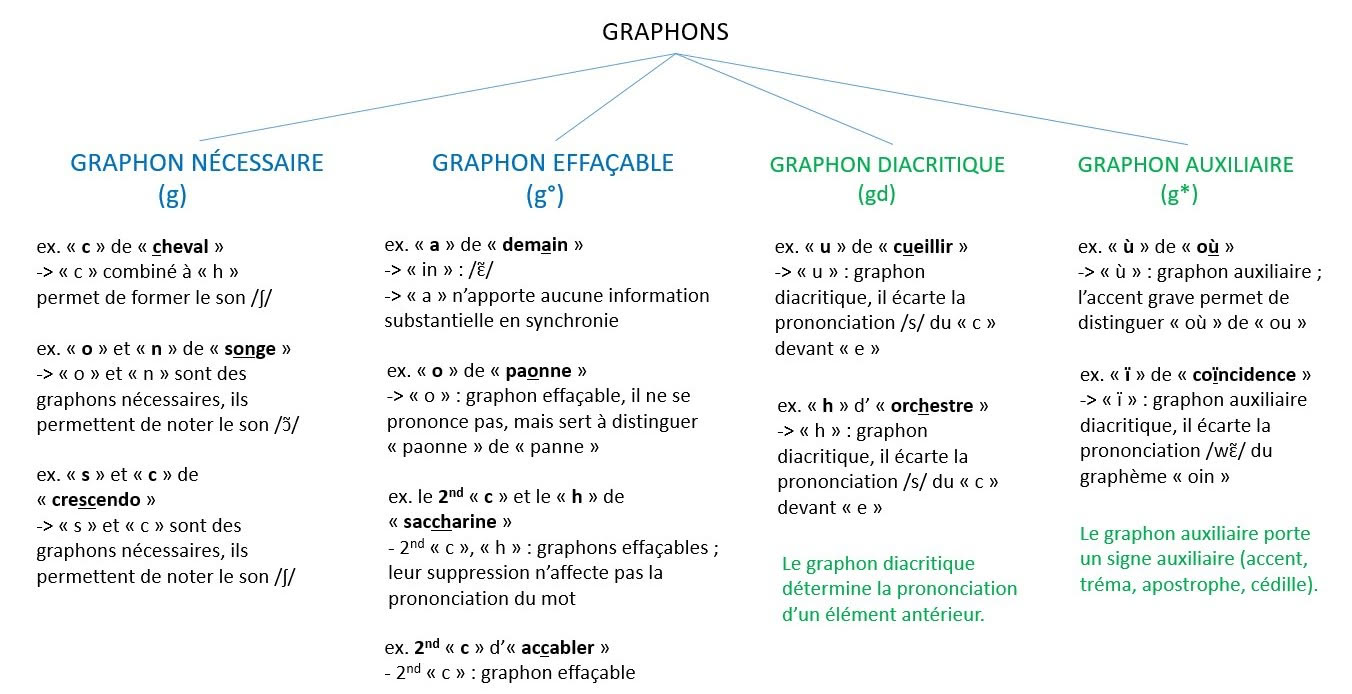 Figure 2 : Les différents types de graphons : inventaire (d’après Gruaz, 2023)