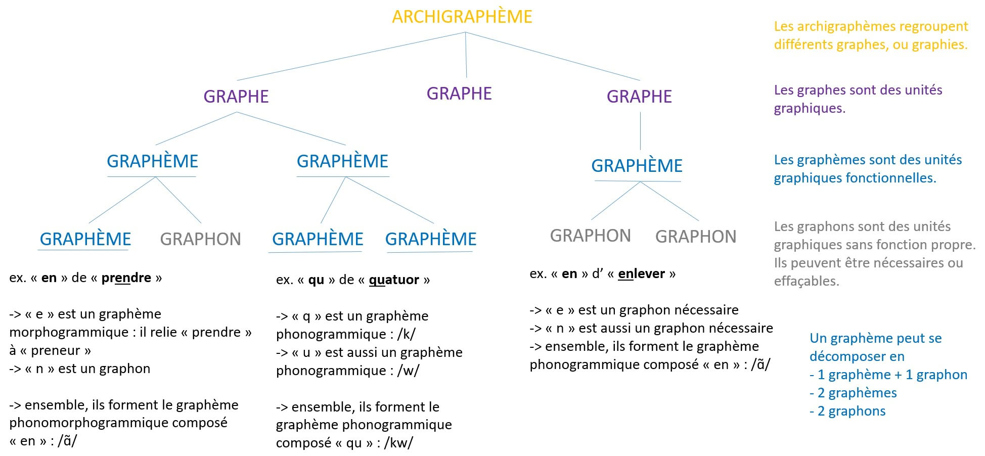 Figure 5 : Le graphogramme et la structure d’un graphème (d’après Gruaz, 2023)