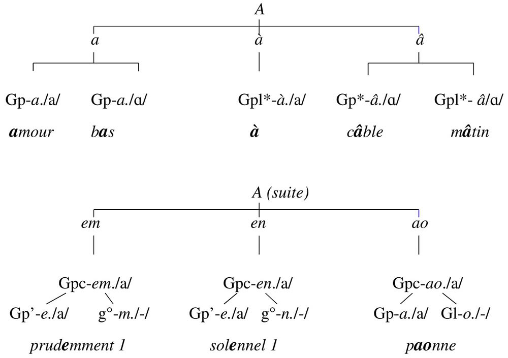 Figure 8 : L’archigraphème A, phonème /a/ : structure graphémique (Gruaz, 2023, p. 17-18)
