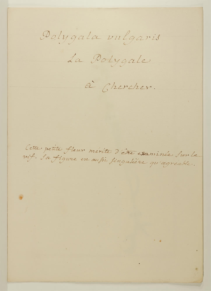 Figure 2a. Herbier pour Mademoiselle Delessert, premier recto