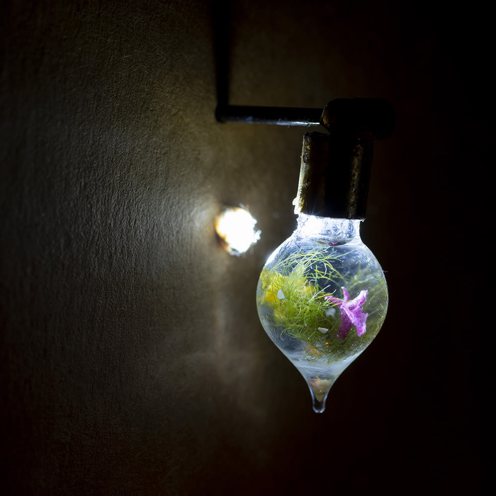 Fig. 2. Kasia Molga, How To Make An Ocean: The Mini Ocean – close up, 2021