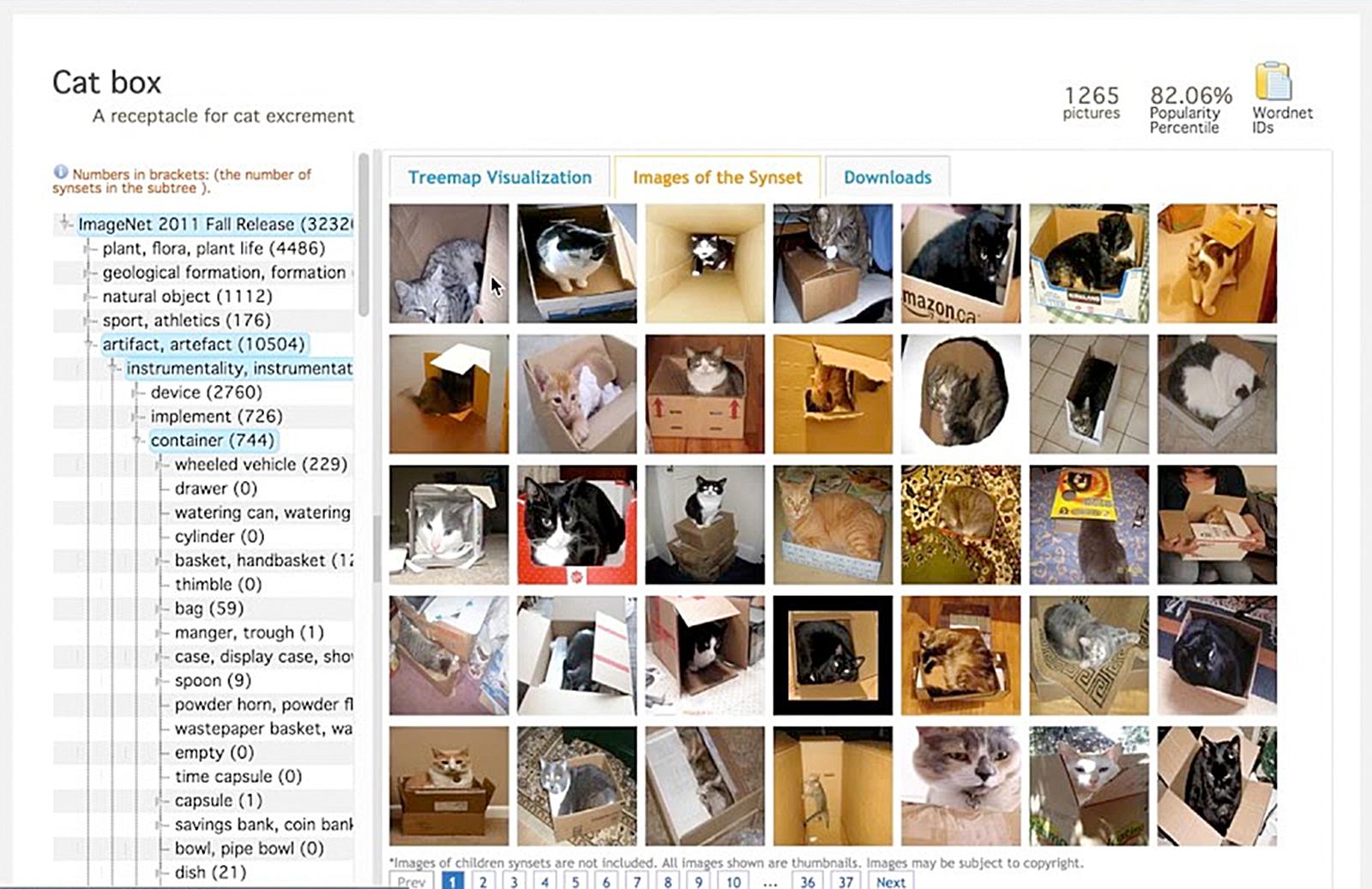 L’entrée « Catbox » sur le site ImageNet