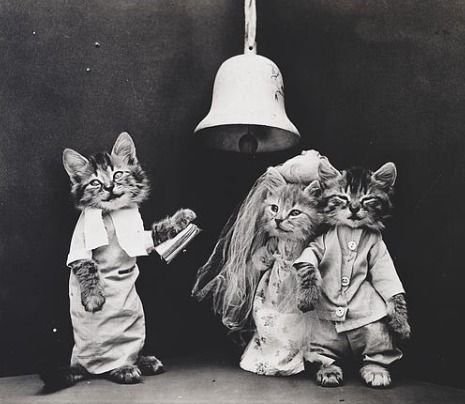 Un exemple des Brighton Cards de Harry Pointer