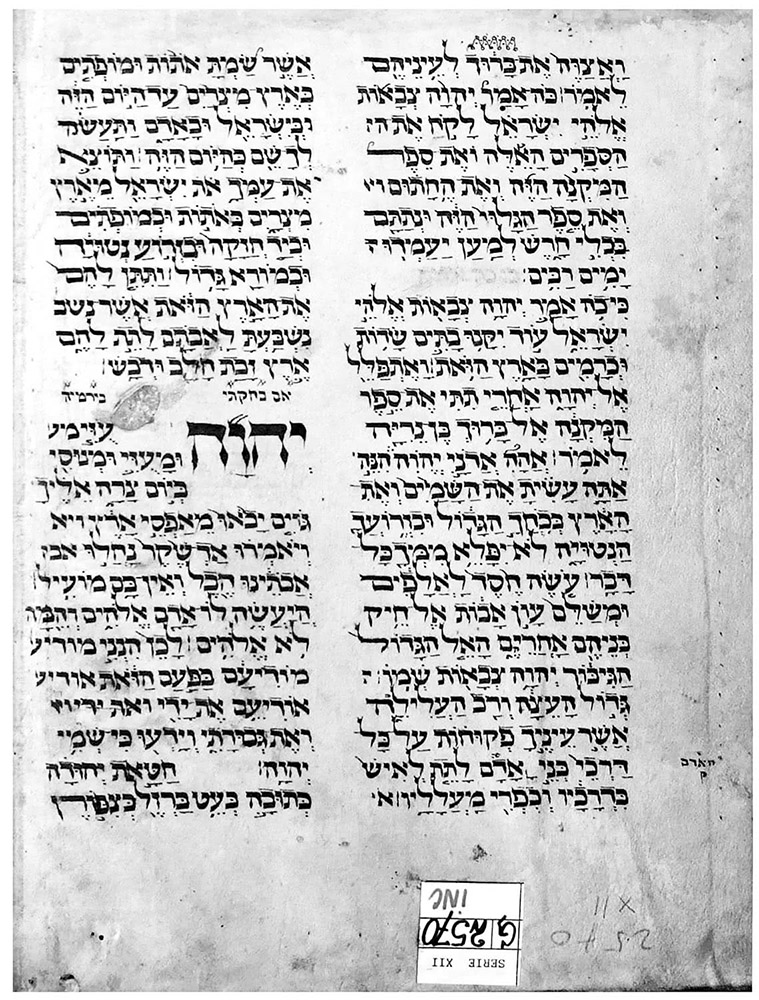 Fig. 4 : Colmar Inc. XII 2570 / fr. 4.