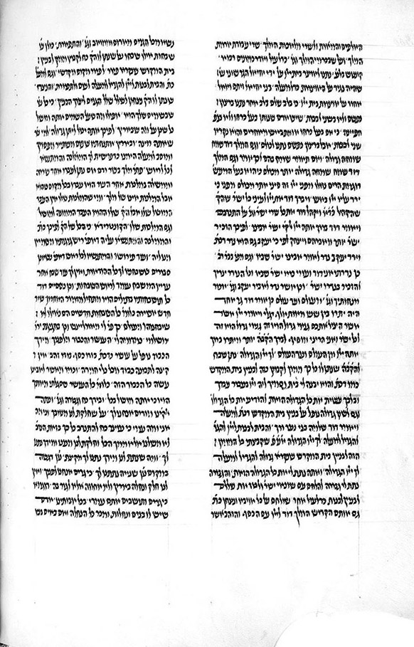Fig. 6 : Paris, BnF, Hébreu 154, f. 300v