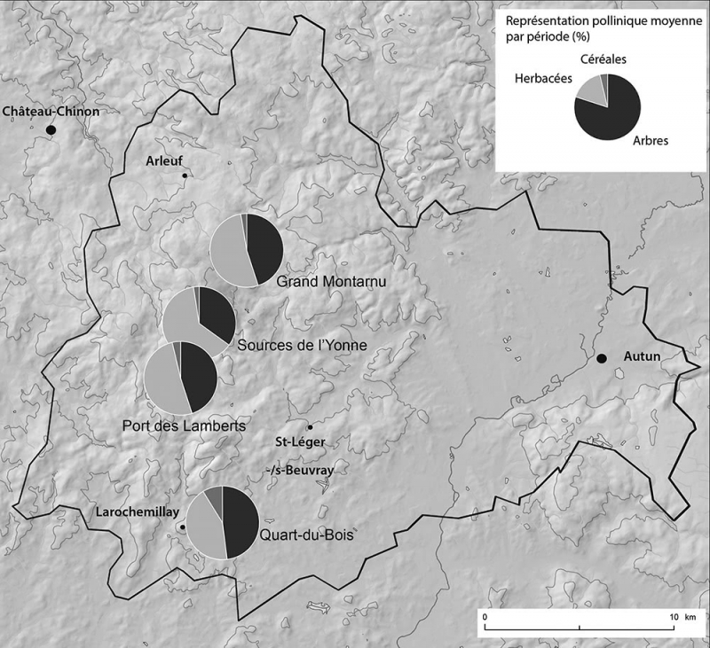 Figure 3 : Couvert végétal du Moyen Âge central en sud Morvan d’après les spectres polliniques