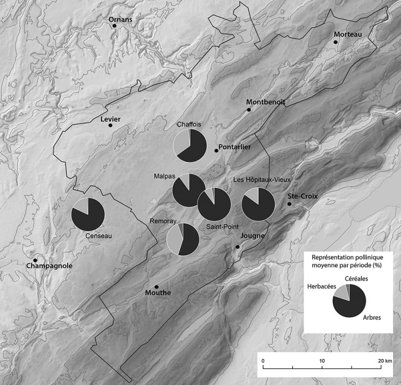 Figure 4 : Couvert végétal du Moyen Âge central en Jura central d’après les spectres polliniques