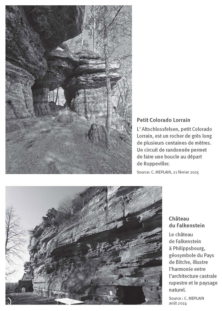 Figure 4. Géosites et géosymboles du Pays de Bitche, Vosges du Nord